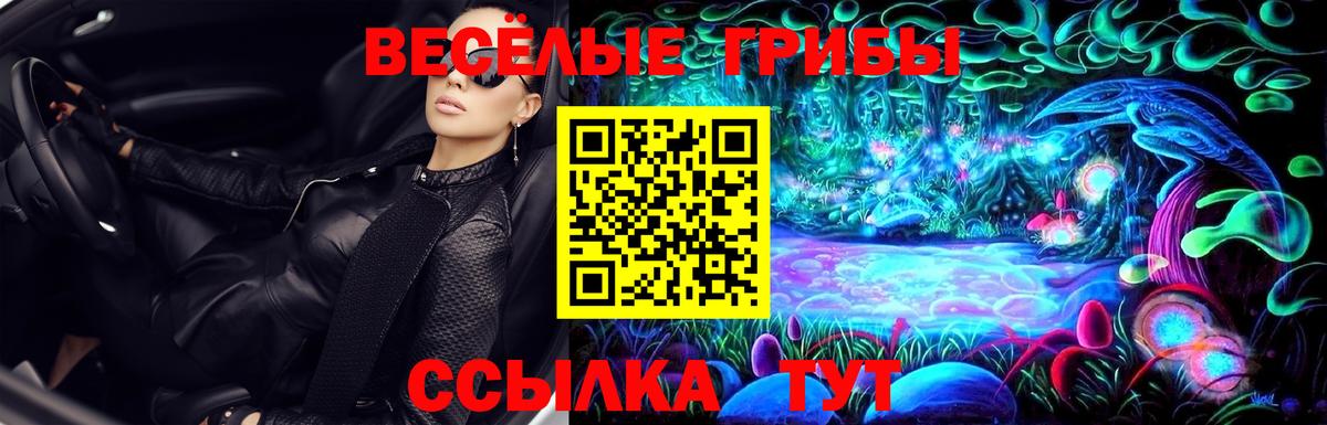 Галлюциногенные грибы мицелий  магазин    Елабуга  Вход с VPN 